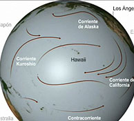 Great Pacific garbage patch Great Pacific garbage patch